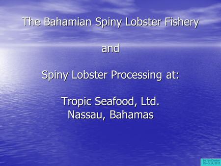 The Bahamian Spiny Lobster Fishery and Spiny Lobster Processing at: Tropic Seafood, Ltd. Nassau, Bahamas By Jon Chaiton March 14, 2013.