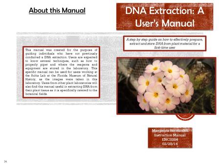 DNA Extraction: A User’s Manual Margarita Hernandez Instruction Manual ENC3254 02/28/14 Margarita Hernandez Instruction Manual ENC3254 02/28/14 A step.