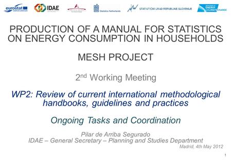 1 PRODUCTION OF A MANUAL FOR STATISTICS ON ENERGY CONSUMPTION IN HOUSEHOLDS MESH PROJECT 2 nd Working Meeting Madrid, 4th May 2012 WP2: Review of current.