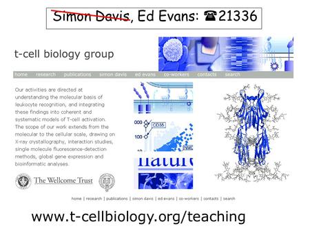Www.t-cellbiology.org/teaching Simon Davis, Ed Evans:  21336.