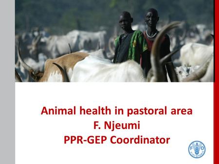 Animal health in pastoral area F. Njeumi PPR-GEP Coordinator.
