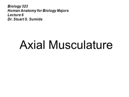 Axial Musculature Biology 323 Human Anatomy for Biology Majors