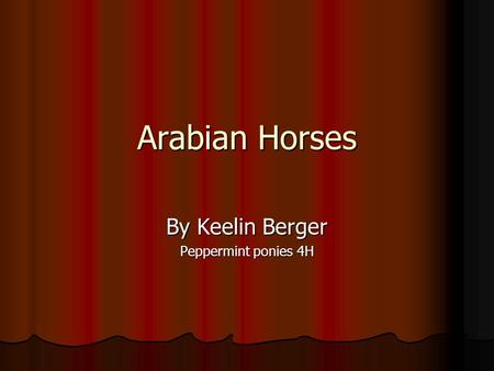 Arabian Horses By Keelin Berger Peppermint ponies 4H.