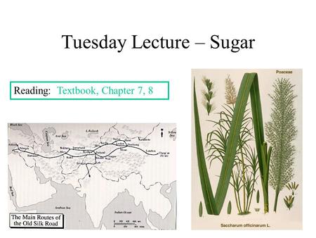 Tuesday Lecture – Sugar Reading: Textbook, Chapter 7, 8.