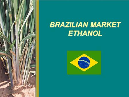 BRAZILIAN MARKET ETHANOL. ETHANOL FUEL OF THE FUTURE (Henry Ford - 1906) Ethanol first became popular as a fuel with the model T. (above) Henry Ford mixed.