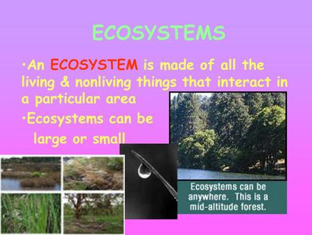 ECOSYSTEMS An ECOSYSTEM is made of all the living & nonliving things that interact in a particular area Ecosystems can be large or small.