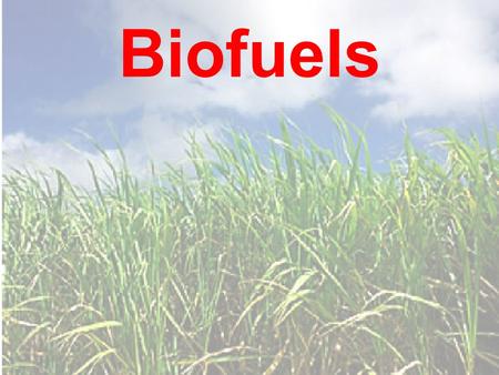 Biofuels. Why are biofuels attractive? Energy security: locally produced, wider availability, “grow your own oil” Climate change mitigation: one of the.