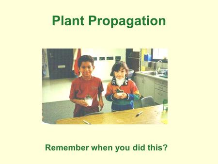 Plant Propagation Remember when you did this?. Now people do this.