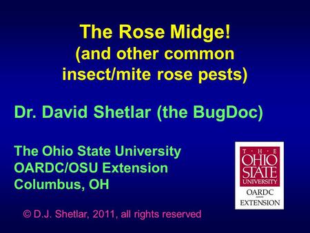 (and other common insect/mite rose pests)