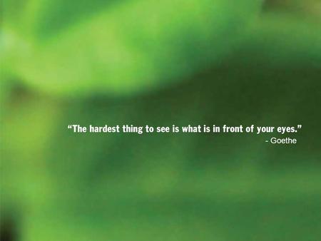 “The hardest thing to see is what is in front of your eyes.” - Goethe.