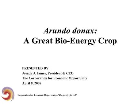 Arundo donax: A Great Bio-Energy Crop PRESENTED BY: Joseph J. James, President & CEO The Corporation for Economic Opportunity April 8, 2008 Corporation.