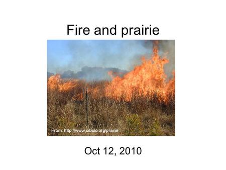 Fire and prairie Oct 12, 2010 From: