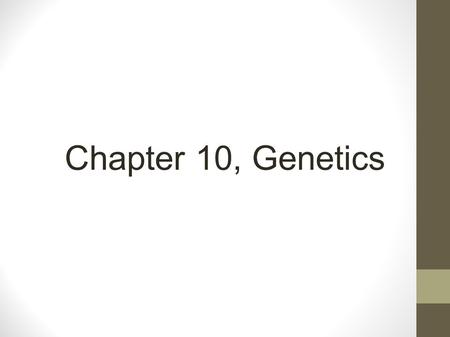 Chapter 10, Genetics.