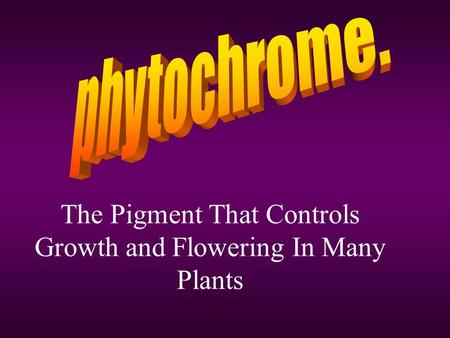 The Pigment That Controls Growth and Flowering In Many Plants.
