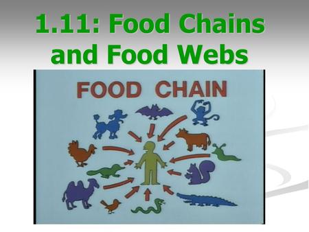1.11: Food Chains and Food Webs