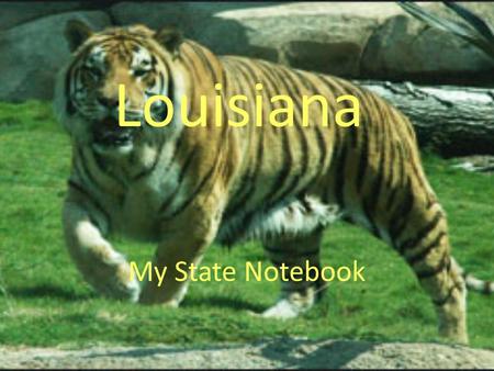 My State Notebook Louisiana. Scenery From Our State.