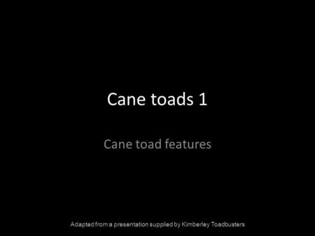 Cane toads 1 Cane toad features Adapted from a presentation supplied by Kimberley Toadbusters.