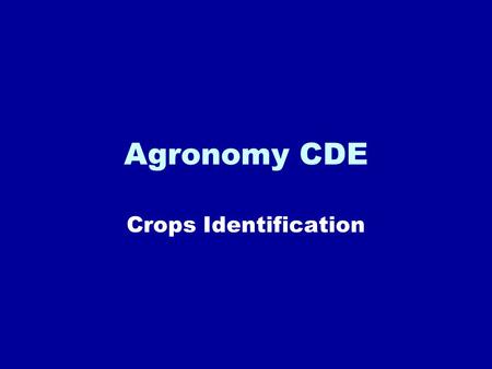 Agronomy CDE Crops Identification. Choose Correct answer A. Orchardgrass B. Tall Fescue C. Bermuda grass D. Timothy Click to see correct answer.