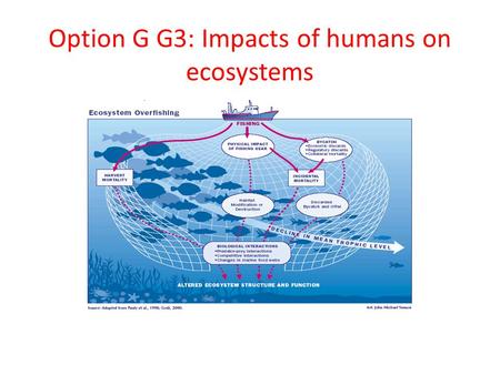 Option G G3: Impacts of humans on ecosystems. Calculate the Simpson diversity index for two local communities. See Handout.