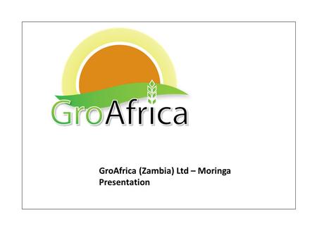 GroAfrica (Zambia) Ltd – Moringa Presentation. The Moringa Tree Moringa oleifera 03 These leaves could save millions of lives.