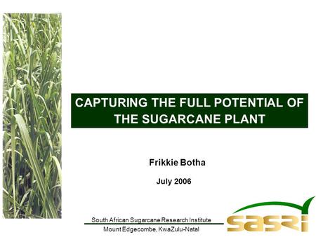 South African Sugarcane Research Institute Mount Edgecombe, KwaZulu-Natal CAPTURING THE FULL POTENTIAL OF THE SUGARCANE PLANT Frikkie Botha July 2006.