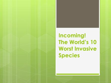 Incoming! The World’s 10 Worst Invasive Species. KUDZU  ORIGIN – Japan & Southeast China  New Location(s) – Southern USA; New Jersey; Oregon  How it.