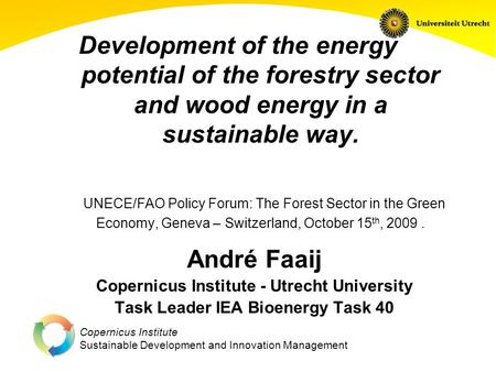Copernicus Institute Sustainable Development and Innovation Management Development of the energy potential of the forestry sector and wood energy in a.