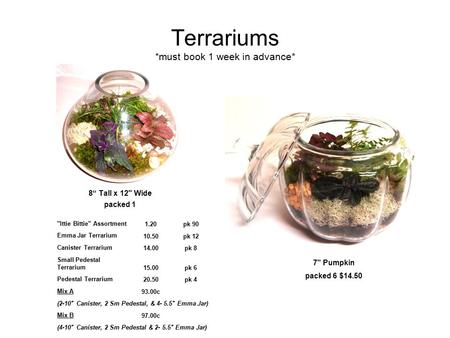 Terrariums *must book 1 week in advance* 8“ Tall x 12 Wide packed 1 7 Pumpkin packed 6 $14.50 Ittie Bittie Assortment1.20pk 90 Emma Jar Terrarium 10.50pk.