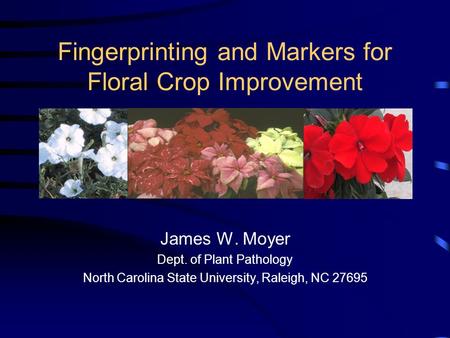 Fingerprinting and Markers for Floral Crop Improvement James W. Moyer Dept. of Plant Pathology North Carolina State University, Raleigh, NC 27695.