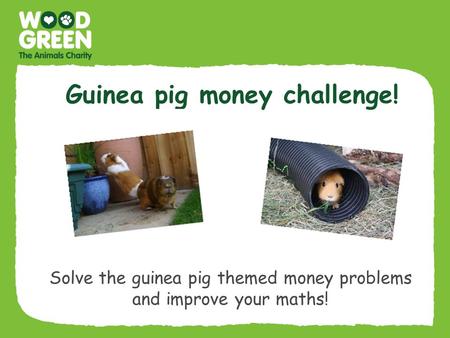Guinea pig money challenge! Solve the guinea pig themed money problems and improve your maths!