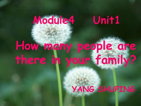 Module4 Unit1 How many people are there in your family? YANG SHUPING.