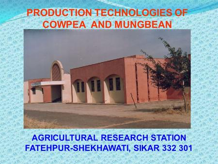 AGRICULTURAL RESEARCH STATION FATEHPUR-SHEKHAWATI, SIKAR 332 301 PRODUCTION TECHNOLOGIES OF COWPEA AND MUNGBEAN.