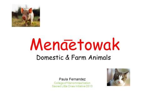 Menaetowak Domestic & Farm Animals Paula Fernandez College of Menominee Nation Sacred Little Ones Initiative 2013.