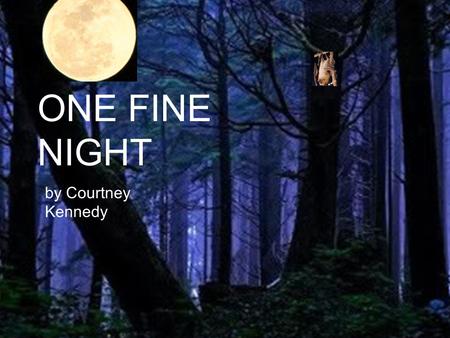 ONE FINE NIGHT by Courtney Kennedy. One fine night a megabat traveled through a great rainforest. When he reached the other side he was very hungry.
