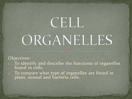 Objectives: 1. To identify and describe the functions of organelles found in cells. 2. To compare what type of organelles are found in plant, animal and.