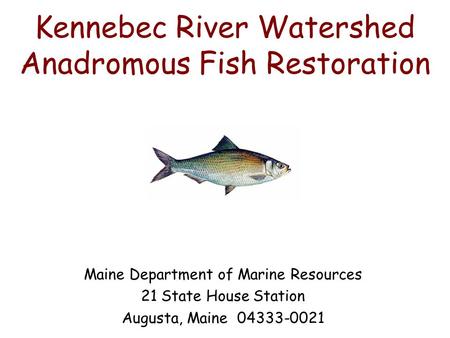Kennebec River Watershed Anadromous Fish Restoration Maine Department of Marine Resources 21 State House Station Augusta, Maine 04333-0021.