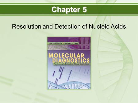 Resolution and Detection of Nucleic Acids