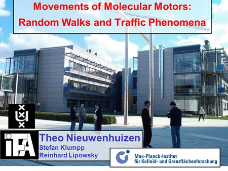 Movements of Molecular Motors: Random Walks and Traffic Phenomena Theo Nieuwenhuizen Stefan Klumpp Reinhard Lipowsky.
