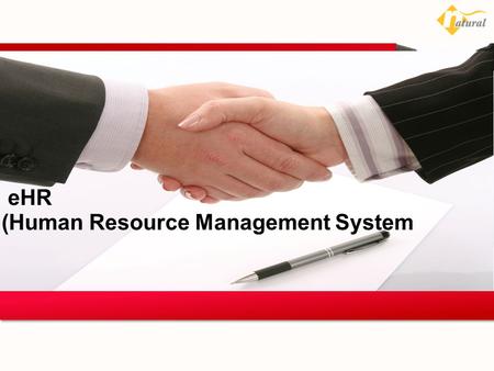 (Human Resource Management System