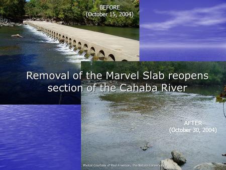 Removal of the Marvel Slab reopens section of the Cahaba River Photos Courtesy of Paul Freeman, The Nature Conservancy BEFORE (October 15, 2004) AFTER.
