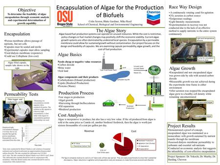 Production Process Four stages to production Algal growth Harvesting through bioflocculation Oil separation Biodiesel production Encapsulation of Algae.