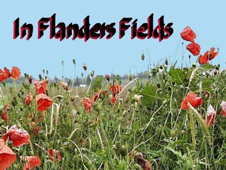 In Flanders Fields... the poppies grow.... between the crosses, row on row...