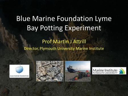 Blue Marine Foundation Lyme Bay Potting Experiment Prof Martin J Attrill Director, Plymouth University Marine Institute.