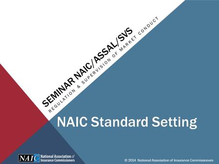 SEMINAR NAIC/ASSAL/SVS REGULATION & SUPERVISION OF MARKET CONDUCT © 2014 National Association of Insurance Commissioners NAIC Standard Setting.