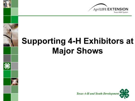 Supporting 4-H Exhibitors at Major Shows Texas 4-H and Youth Development.