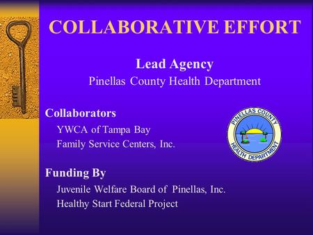 COLLABORATIVE EFFORT Lead Agency Pinellas County Health Department Collaborators YWCA of Tampa Bay Family Service Centers, Inc. Funding By Juvenile Welfare.