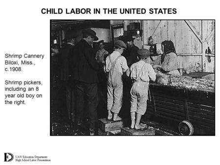 UAW Education Department High School Labor Presentation CHILD LABOR IN THE UNITED STATES Shrimp Cannery Biloxi, Miss., c.1908. Shrimp pickers, including.