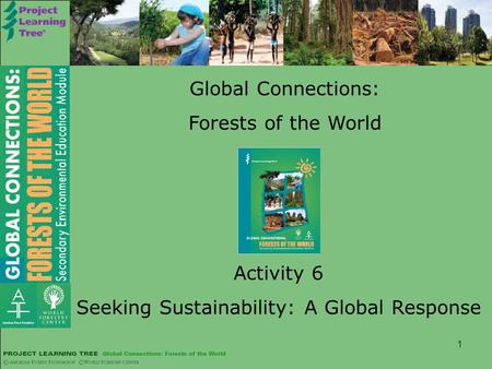 1 Global Connections: Forests of the World Activity 6 Seeking Sustainability: A Global Response.