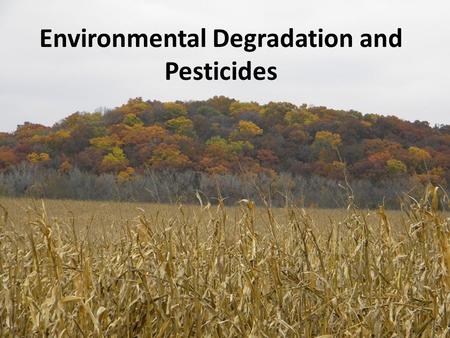 Environmental Degradation and Pesticides. Outline Importance of our environment What is environmental degradation? Water Air Harm or loss of beneficial.