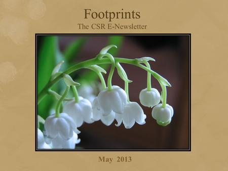 Footprints The CSR E-Newsletter May 2013. The untold stories... With the sun bright and burning and the air sweetened with the fragrance of ripe mangoes,